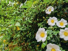 -敬亭山风景名胜区