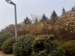 -长春世界雕塑园冰雪艺术天地