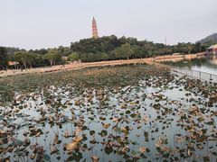 -顺峰山公园