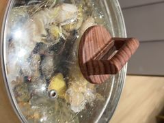 -阿毛饭店·宁波老字号(儿童公园旗舰店)