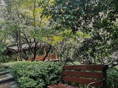 -杭州半山国家森林公园