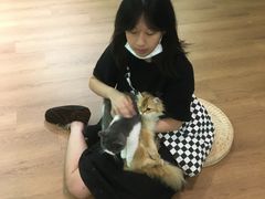 -柯斗斗主题餐厅·狗咖·围炉煮茶·茶饮(国瑞升平里店)