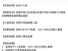 -芜湖方特东方神画