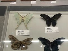 -四川大学博物馆