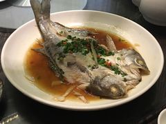 -青叶202都市餐厅(迪诺水镇店)