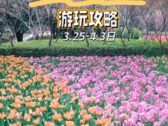 -上海鲜花港