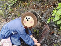 -石台牯牛降景区