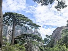 -黄山风景区