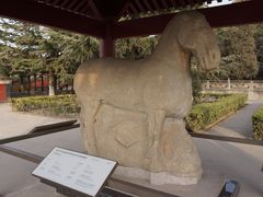 -茂陵博物馆