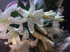 -老七钵钵鸡