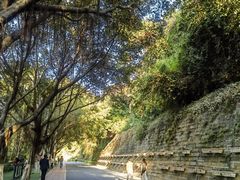 -仙岳公园