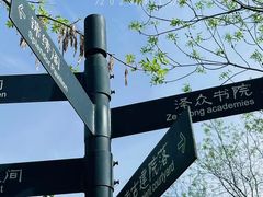 -迎泽公园