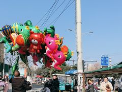 -鑫朱雀农贸批发市场