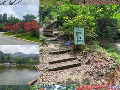 -广州市帽峰山景区