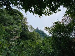 -青城山