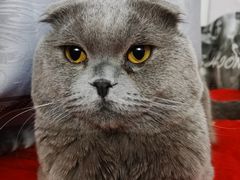 -沐沐家宠物(成寿寺店)