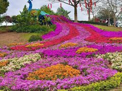 -东莞植物园
