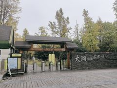 -苏州太湖湖滨国家湿地公园