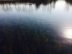 iphone_upload_pic-溱湖国家湿地公园