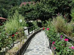 android_upload_pic-北京水岸山吧度假村(雁栖镇店)