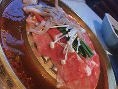 小猪小牛水煎肉-小猪小牛章鱼水煎肉(盛京大奥莱店)