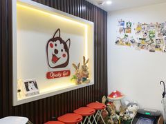 -Husky Go! 哈士奇体验馆·宠物咖啡厅狗咖