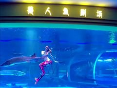 -西双版纳原始森林公园