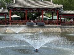 -尚庄度假村·庭台树下·户外烧烤·团建CS·轰趴营地(上庄水库店)