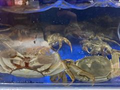 -蟹都汇(龙舟店)