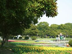 -上海鲜花港
