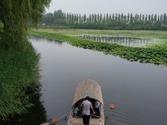 -白洋淀景区