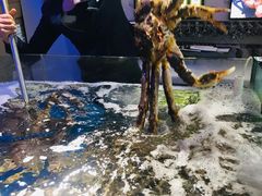 -蟹之国·精品蟹料理(极地店)