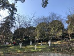 -南山植物园