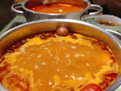 番茄辣-番食园鲜食火锅(高新店)