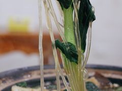 牛肉砂锅-凡老头米线砂锅(古荡新村西粮站)