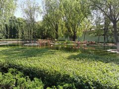 -石家庄市动物园