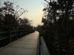 -池州市平天湖风景区