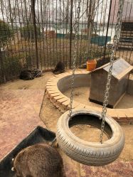 -萌宠亲子动物乐园(槐房万达店)