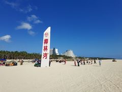 -东郊椰林