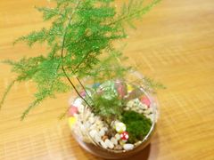 -A+匠心DIY手工坊·首饰·微景观