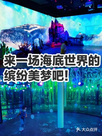 来一场海底世界的缤纷美梦吧