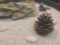 餐具摆设-京怀石·壬生
