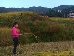-龙脊梯田风景名胜区游客中心-停车场