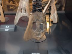 -河姆渡遗址博物馆