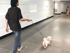 -犬也宠物造型(恒茂国际都会商业街店)