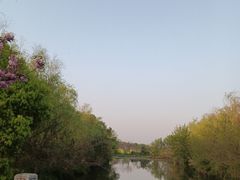 -漕湖湿地公园