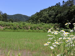 -小格里自然风景区