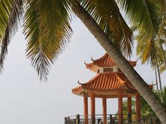 -东郊椰林