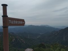 -大岭沟猕猴桃谷风景区