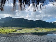 -腾冲北海湿地